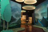 DSC04617.jpg